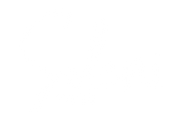 Soleni Shoes