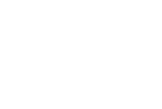 Soleni Shoes Inc